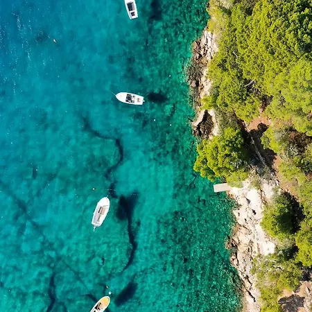 Tom House Ferienhaus *