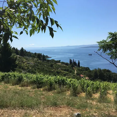 Tom House Murvica (Brac)
