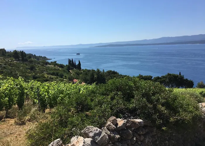 Dom wakacyjny Tom House *