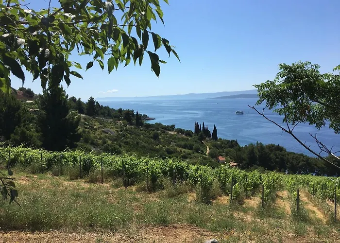 Tom House Murvica (Brac)