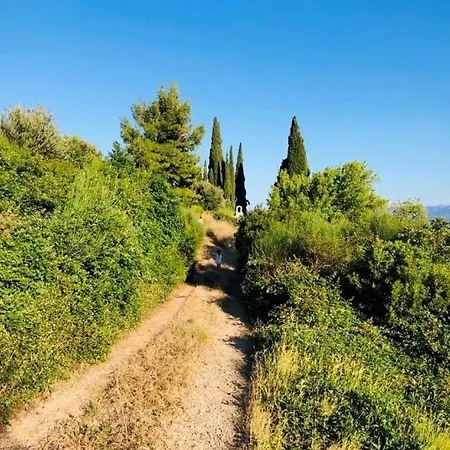 Tom House بيت للعطل مورفيكا