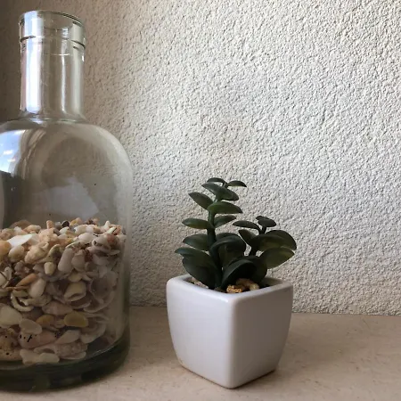 Tom House بيت للعطل *