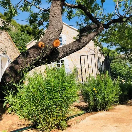 Tom House بيت للعطل مورفيكا